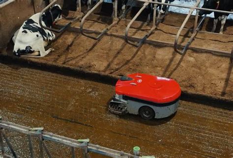 Barn Cleaner Barn Hygiene Solid Barn Floors Discovery C2 Lely