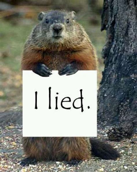 Groundhog Phil Lied Pictures, Photos, and Images for Facebook, Tumblr ...