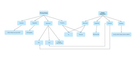 Photosynthesis And Cellular Respiration Concept Map Template Free