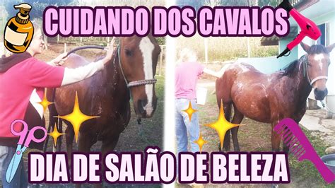 DIA DE BANHO NOS CAVALOS E MANEJO Daily Vlog YouTube