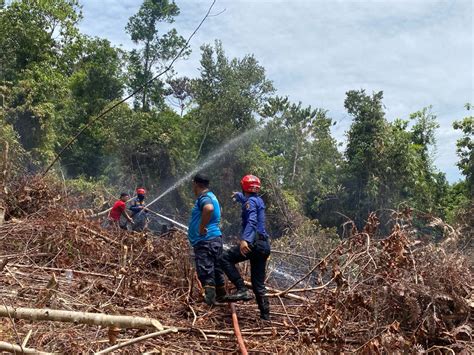 Akibat Pembukaan Lahan Perbukitan Di Bahue Terbakar Damkar Masih