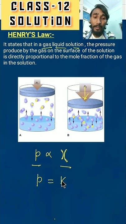 Henry S Law Class 12 Chemistry Youtube