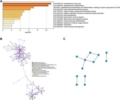 Frontiers Single Cell Sequencing Of Brain Tissues Reveal The Central