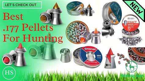 Top 5 Best 177 Pellets For Hunting You Can Buy In 2021 Youtube