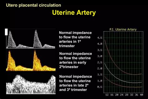 Color Doppler In Fetal Hypoxia PPT