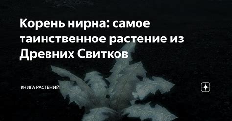 Корень нирна самое таинственное растение из Древних Свитков Книга