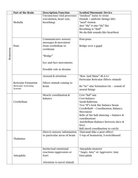 Parts Of Brain Functions Chart - Minga