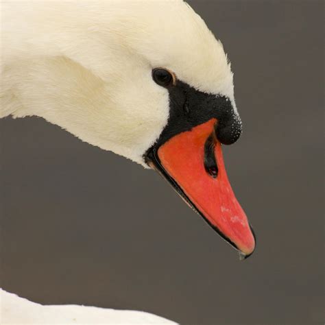 Natures Beauty Photograph By Bob And Jan Shriner Fine Art America