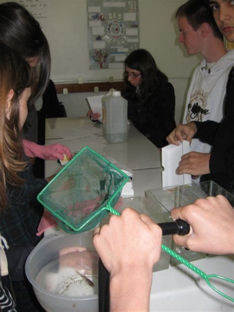 Réalisation des expériences Collège Frania Eisenbach Haverland