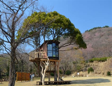 Treehouses Act As Fantastical Refuges For Ill Children Home Crux