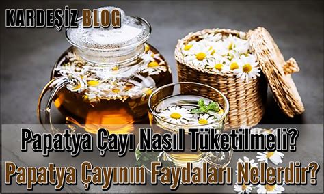 Papatya Çayı Nasıl Tüketilmeli Papatya Çayının Faydaları Nelerdir