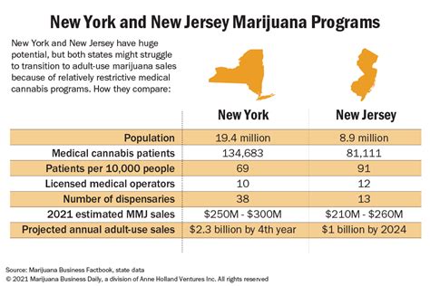 New York Demographics 2024 - Aila Lorena