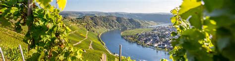 Weinanbaugebiet Mosel Deutschland