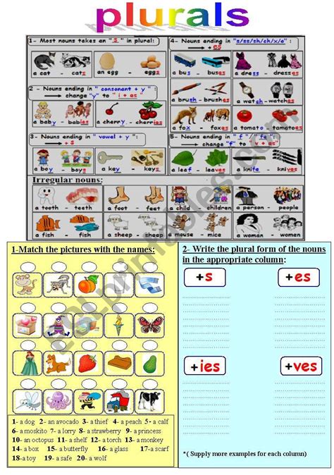 Plurals With S Es Ies Ves Worksheet Live Worksheets 50 Off