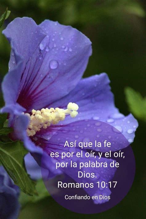 Pin En Confiando En Dios Palabra De Dios Biblia Dones De Dios