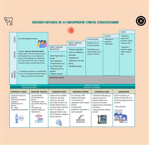 Historia Natural De La Enfermedad Cancer Cervicouterino Porn Sex Picture