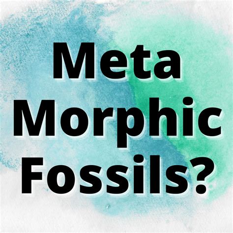 Do Metamorphic Rocks Have Fossils? (ANSWERED) - Yes Dirt