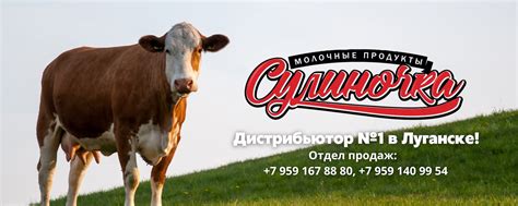 Сулиночка Молочные продукты в Луганске Торговая марка Сулиночка