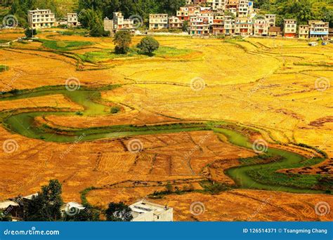 Rural Landscape in Chinese Counteyside Stock Image - Image of ...