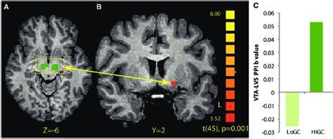 Ppi Analysis From The Vta A The Vta Region Revealed In The Higc Vs Download Scientific