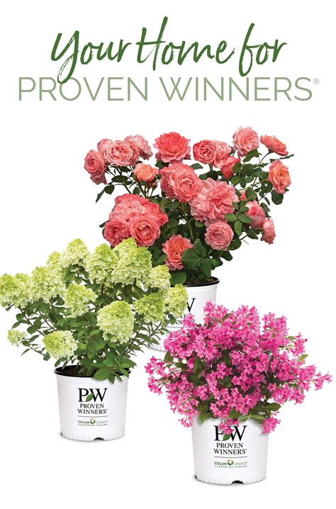 Your Home For Proven Winners Shrubs Signage Proven Winners