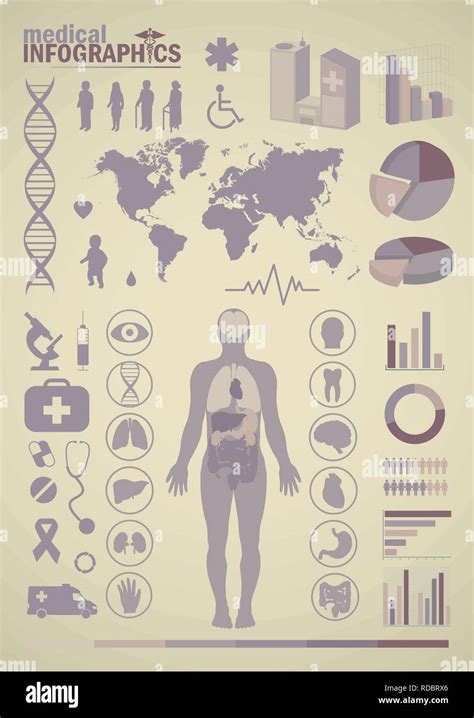 Medizinische Infografiken Pr Sentation Eingestellt Menschlichen