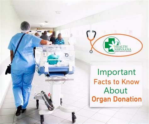 Important Facts To Know About Organ Donation Health Nirvaana