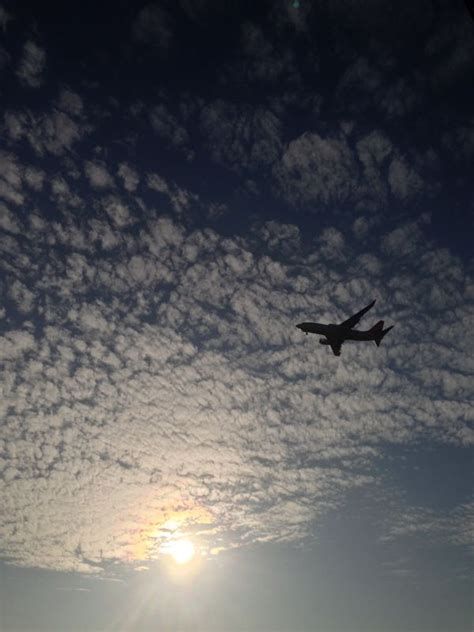 Free Images Horizon Wing Cloud Sky Sun Sunrise Sunset Sunlight