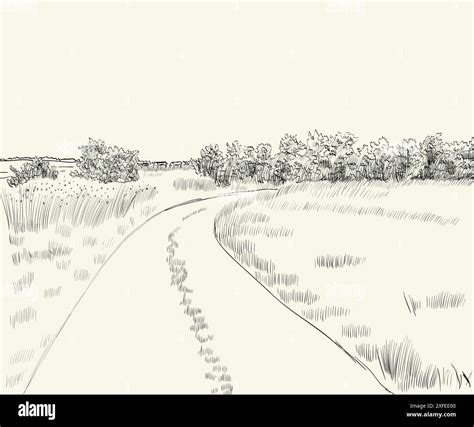Vector Illustration Summer Landscape With Country Road Stock Vector