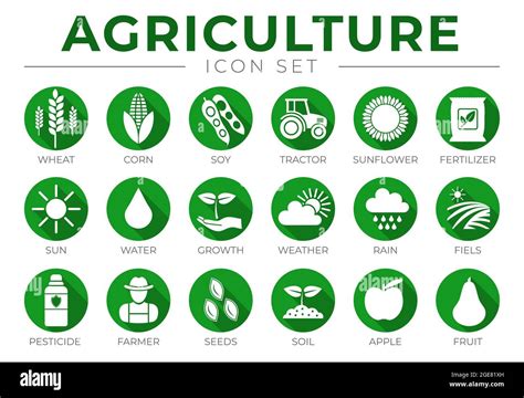 Green Agriculture Round Icon Set Of Wheat Corn Soy Tractor