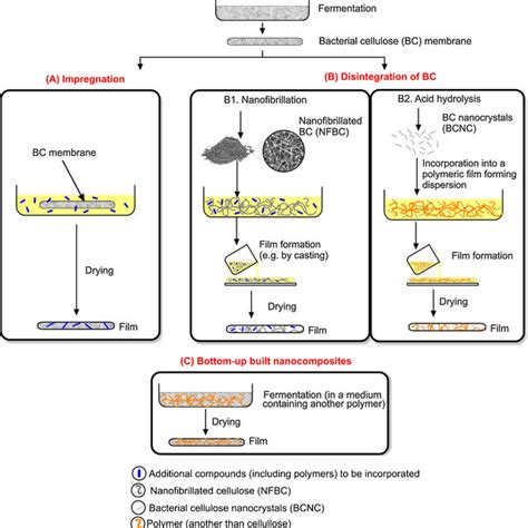 Pdf Nanocellulose In Bio Based Food Packaging Applications