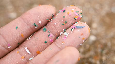 What Are Microplastics