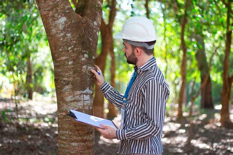 Foi notificado pela fiscalização ambiental Veja como resolver