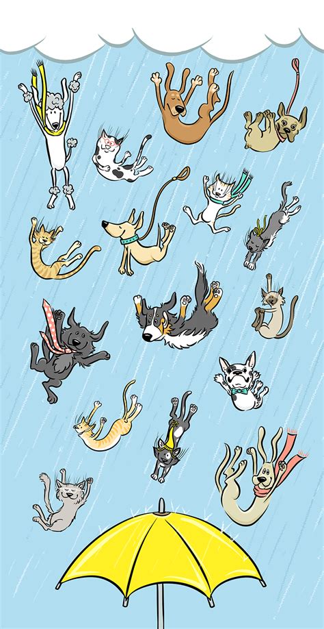 Pin by Christine Naysmith on Raining cats & dogs | Raining cats and dogs, Dog cat, Cats