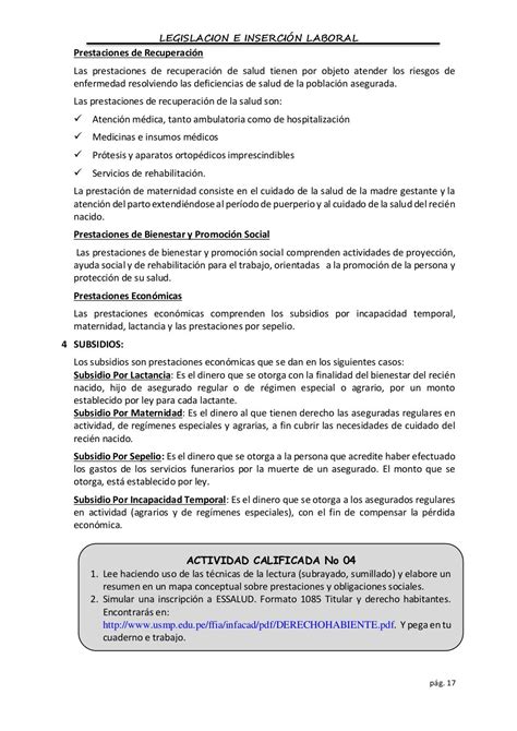 Legislación E Inserción Laboral