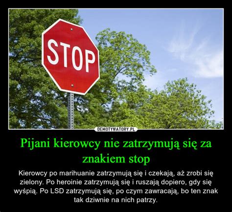 Pijani kierowcy nie zatrzymują się za znakiem stop Demotywatory pl