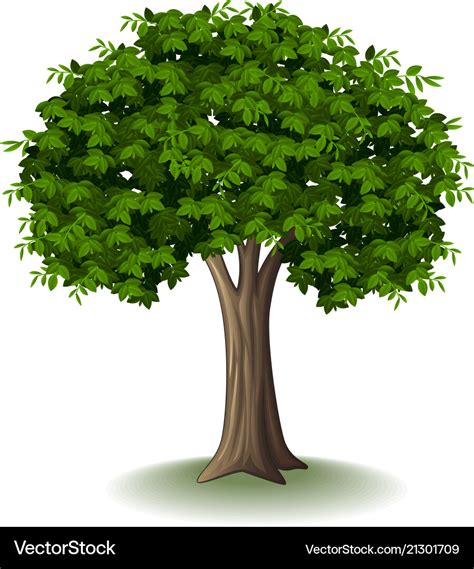 Tree isolated on white background Royalty Free Vector Image