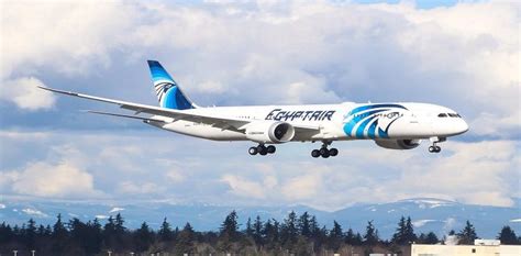 EgyptAir To Operate Flights Between Sharm El Sheikh Luxor INVEST GATE