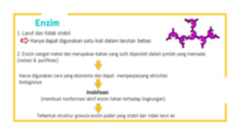 Solution Kampus Palembang Ppt Immobilisasi Enzim Studypool