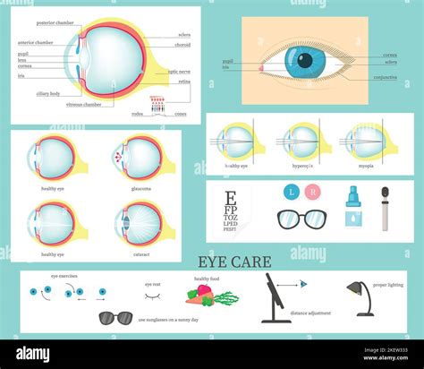 Human Eye Structure Diagrams Diseases And Disorders Eye Care And