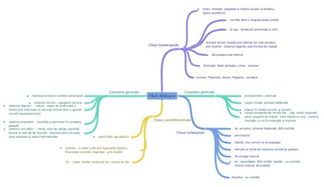 Filum Mollusca - Coggle Diagram