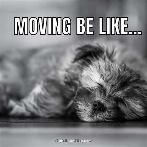 19 Funny Moving Memes That Will Have You Packing With Lols Moving