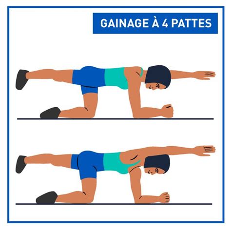 Exercices Pour Le Dos Exercices De Renforcement Musculaire Du Dos Artofit