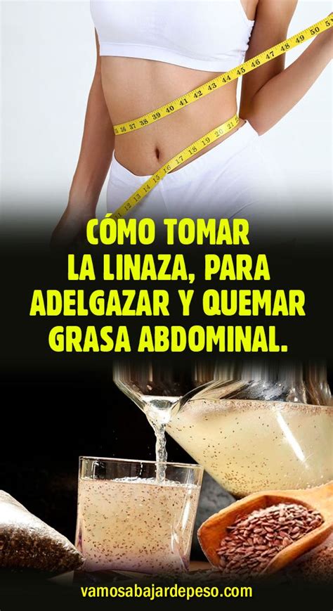 Cómo Tomar La Linaza Para Adelgazar Y Quemar Grasa Abdominal Linaza