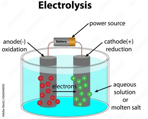 Electrolysis Diagram Stock Vector | Adobe Stock