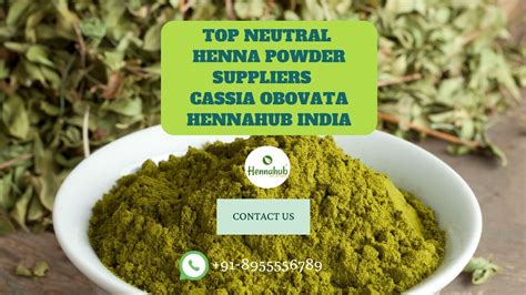 Top Neutral Henna Powder Suppliers In Jamaica Cassia Obovata Hennahub India Hennahub India