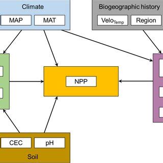 Conceptual Model Depicting Hypothesised Direct And Indirect Effects Of