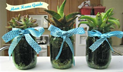 Mason Jar Succulents