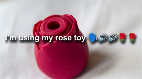 I'm Using My Rose Toy: Video Gallery | Know Your Meme