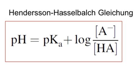 Chemie Säuren und Basen II Puffer pH metrische Titration